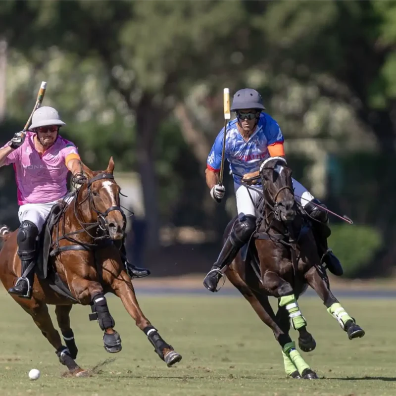 ayalapolo-004