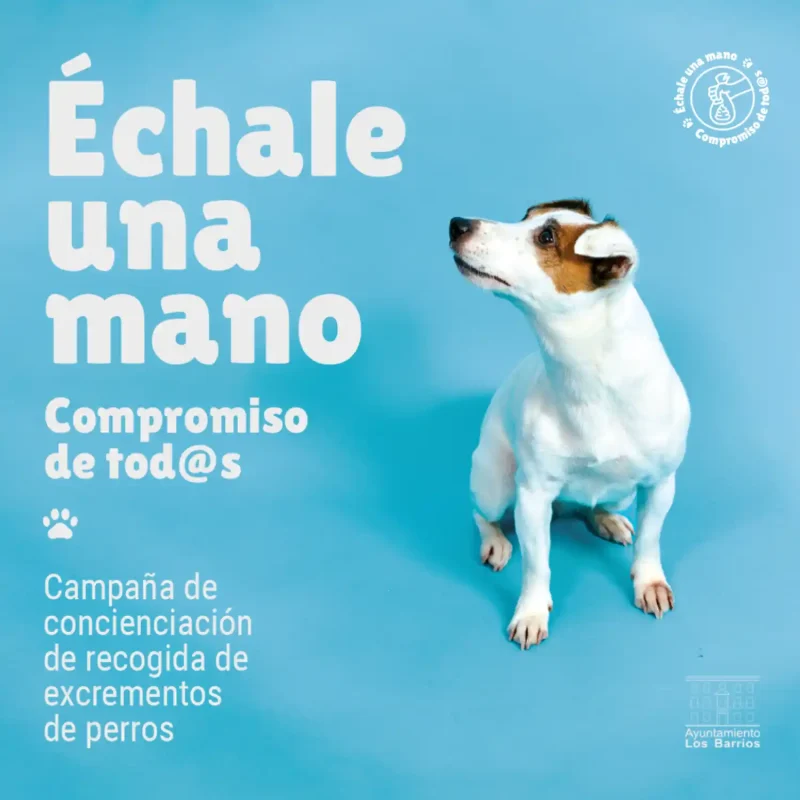 redes sociales-post-instagram-campaña-perros-azul copia